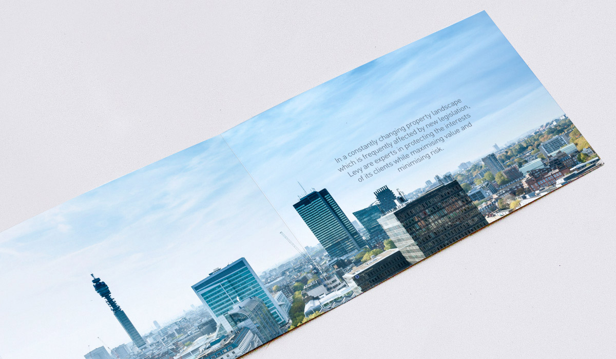Levy - Branding Brochure